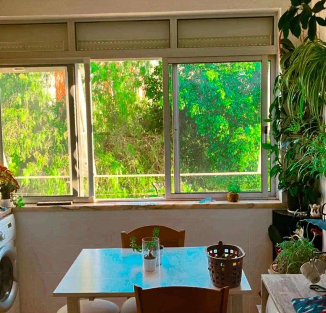 Appartement Apartamento com boa luz e localização em Lisboa.
